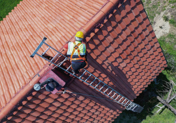 Roof Moss and Algae Removal in Indian Trail, NC